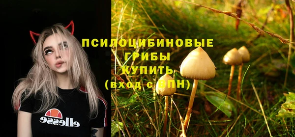 спайс Осинники