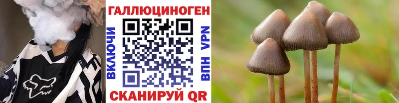 Галлюциногенные грибы Psilocybe  наркошоп  мега онион  Курганинск 